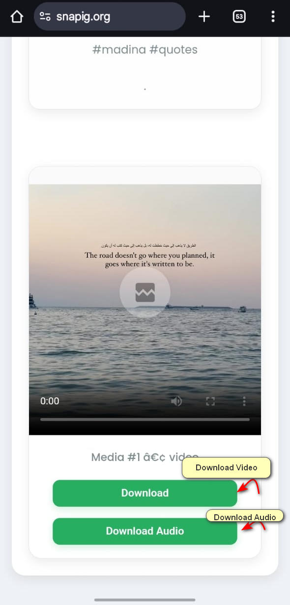 Snapig.org download options showing HD Video, Standard Video, and Audio Only buttons